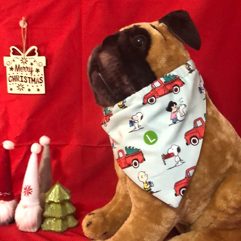 Homemade Pet bandannas